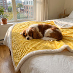 The Zovira Blanket