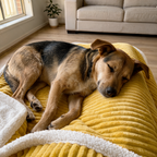 The Zovira Blanket