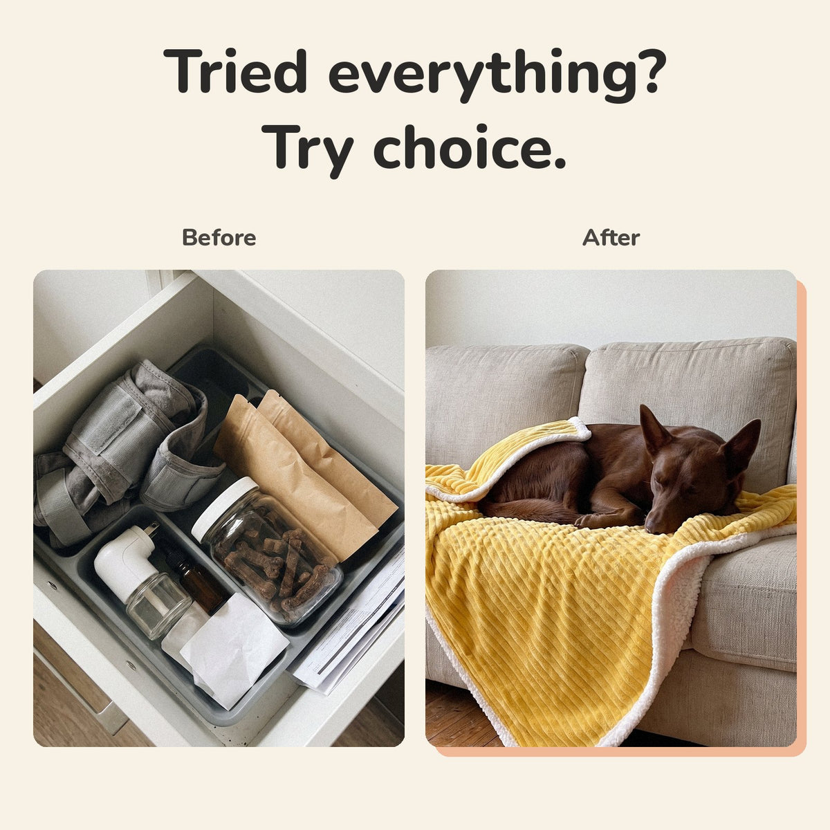 Tried everything? Try choice. Before: a drawer of unused calming products. After: a kelpie asleep on the yellow blanket on the couch