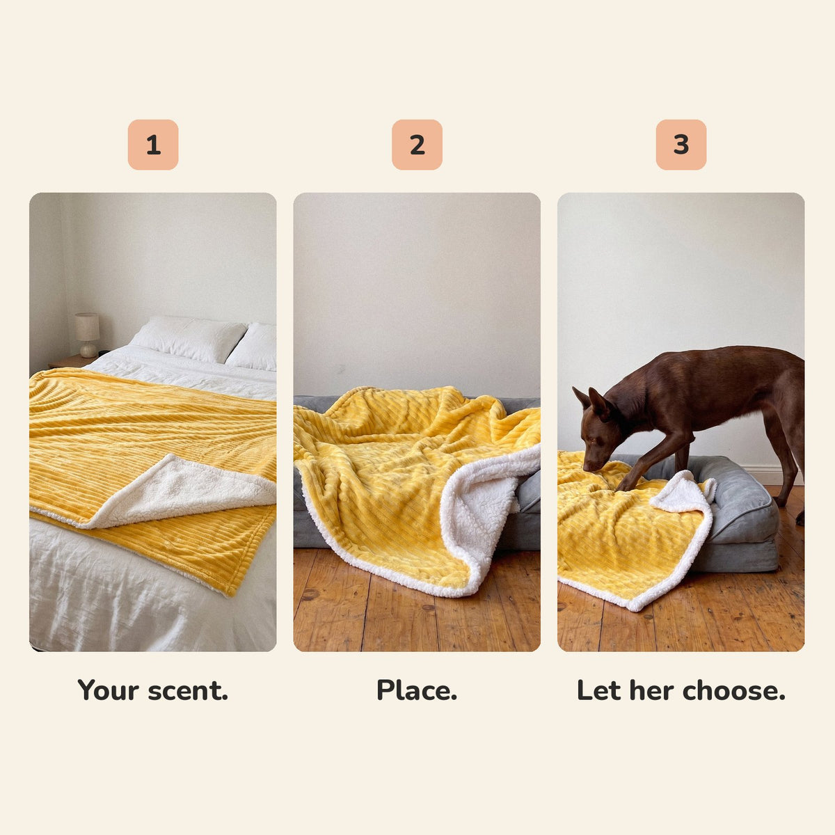 Three steps: your scent on your bed, place it in her spot, let her choose